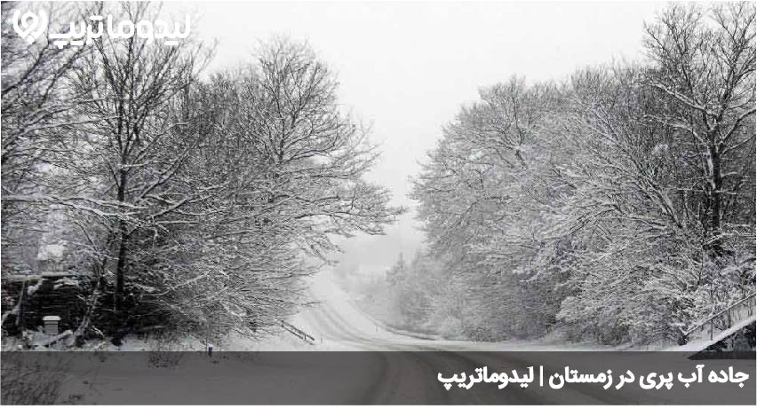 آب پری در زمستان