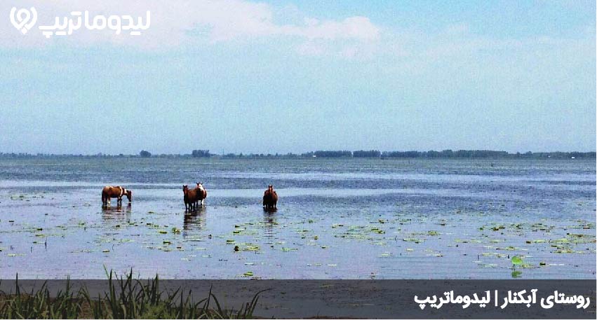 آبکنار
