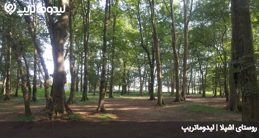روستای اشپلا