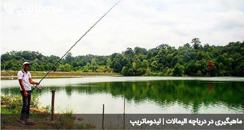 ماهیگیری در الیمالات
