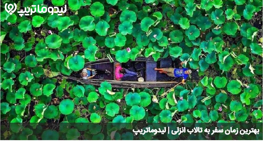 سفر به تالاب انزلی