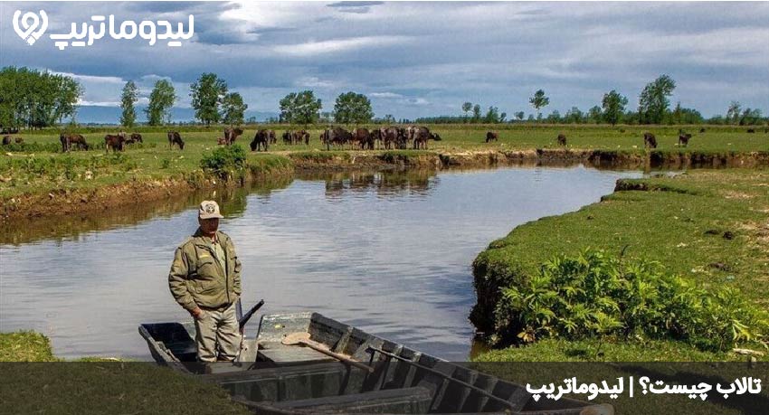 تالاب چیست