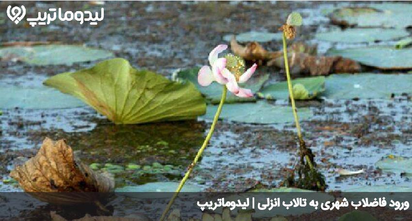 مشکلات تالاب انزلی
