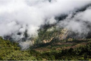 روستای رودبارک