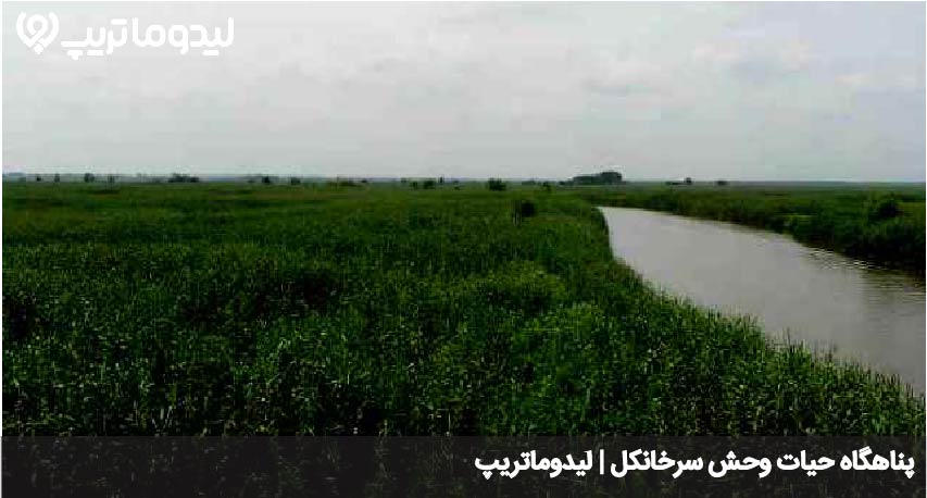 سرخانکل