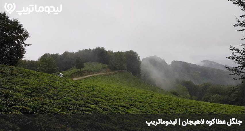 عطاکوه لاهیجان