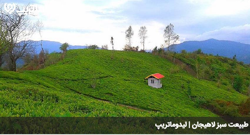 سفر به لاهیجان