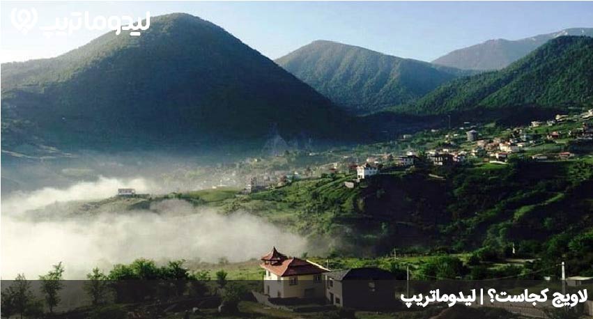لاویج