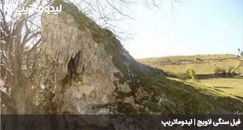 فیل سنگی لاویج