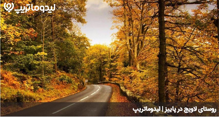 پاییز لاویج