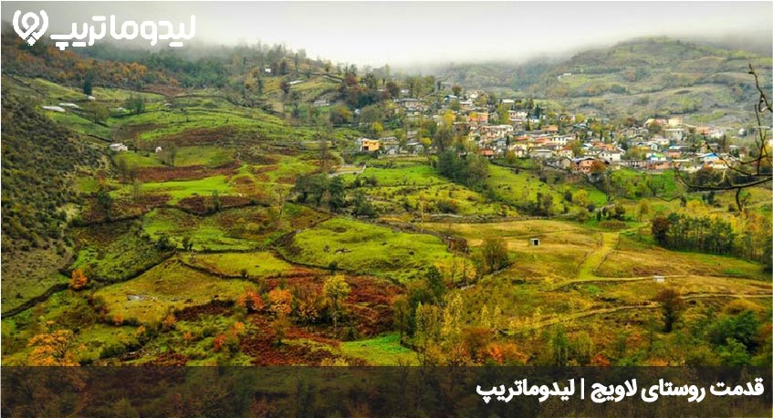 روستای لاویج