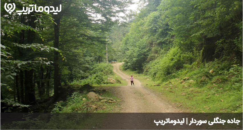 جاده سوردار