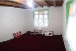 بوم گردی لاویج انزلی
