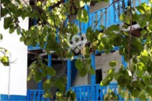 بوم گردی بندرانزلی