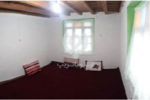 بوم گردی لاویج
