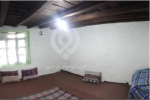 لاویج