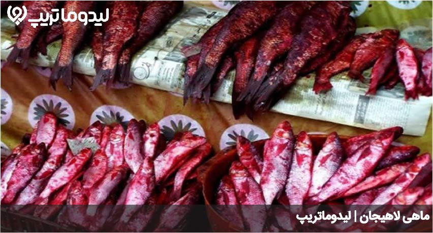 ماهی لاهیجان