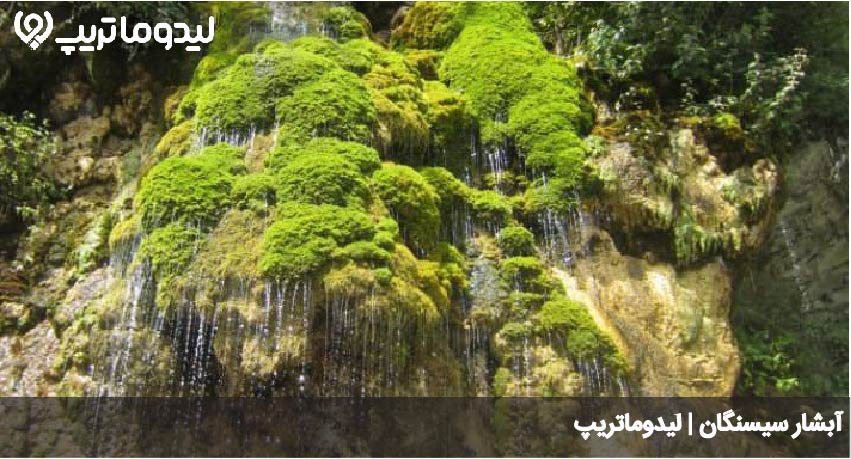 ابشار سیسنگان