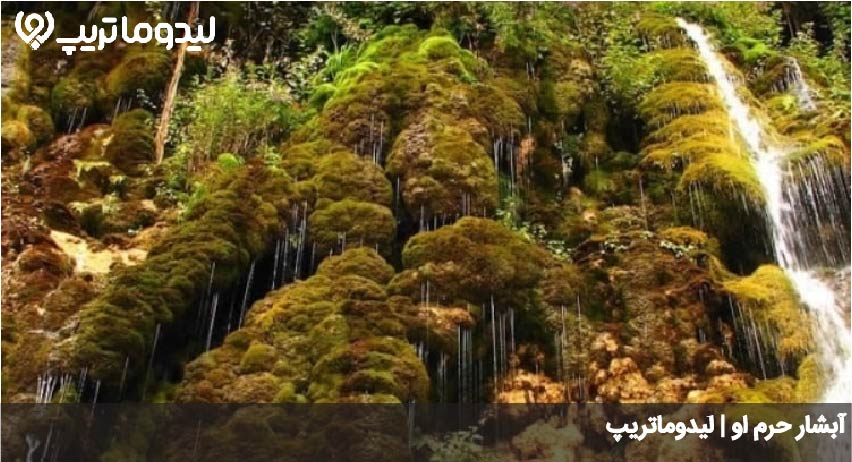 ابشار حرم او