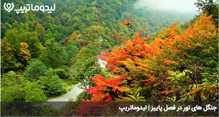 سفر به نور در پاییز