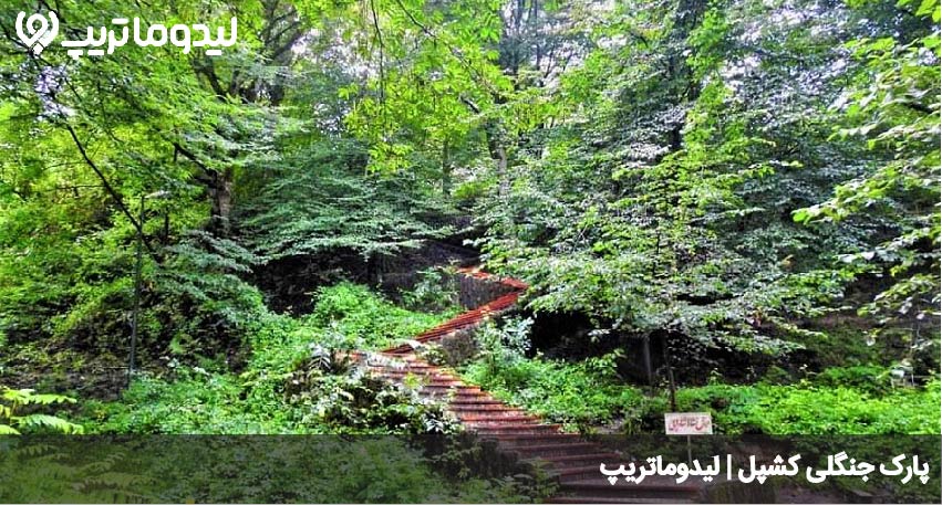 پارک جنگلی کشپل