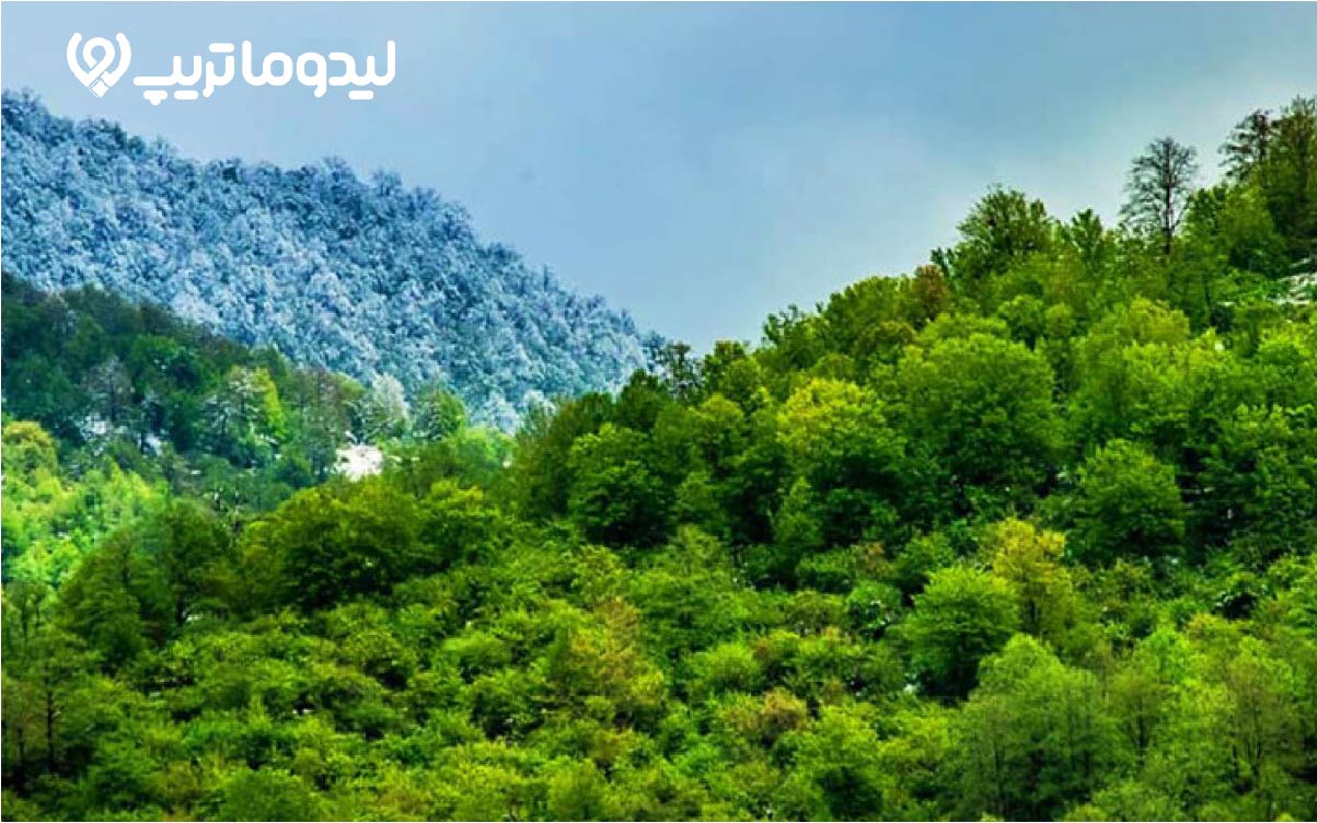 جاهای دیدنی نور