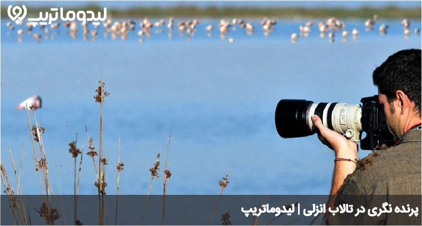 تالاب انزلی