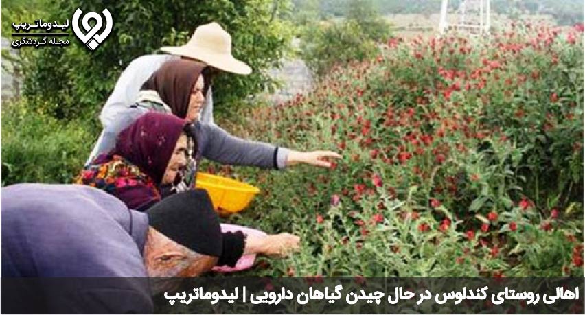 مردم کندلوس