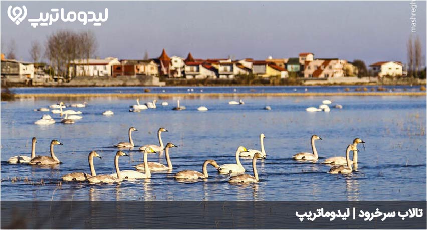 تالاب سرخرود