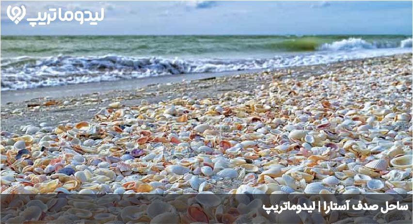 ساحل صدف