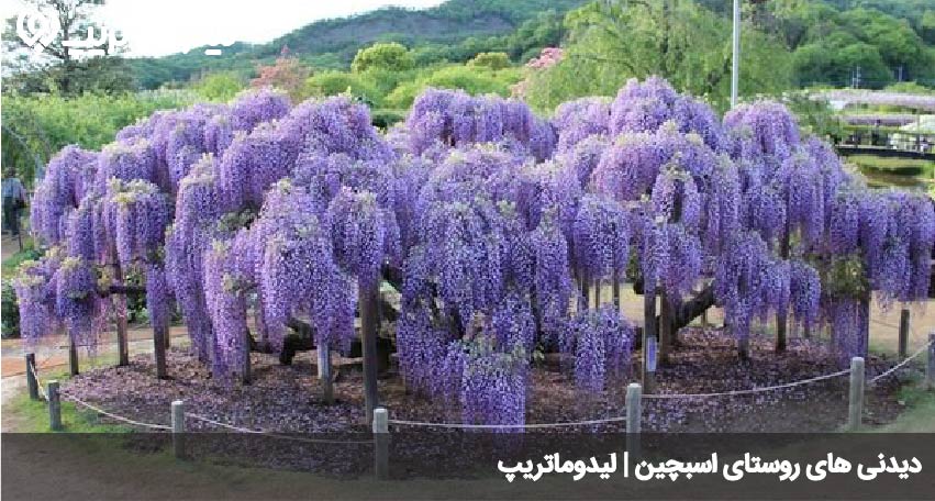 اسبچین