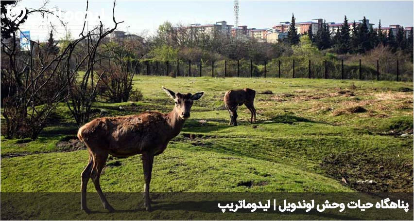 لوندویل