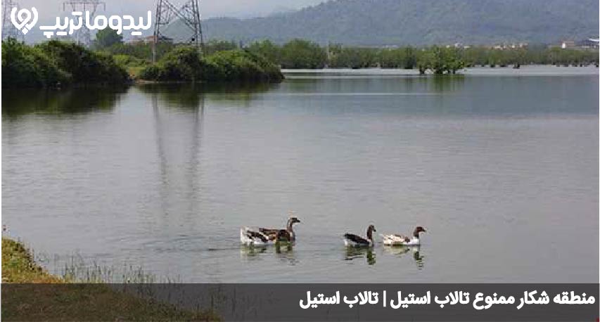 تالاب استیل
