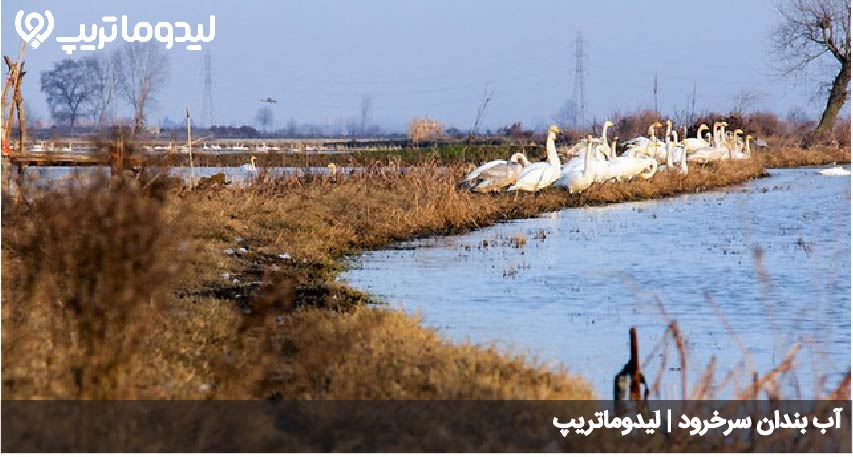 آب بندان سرخرود