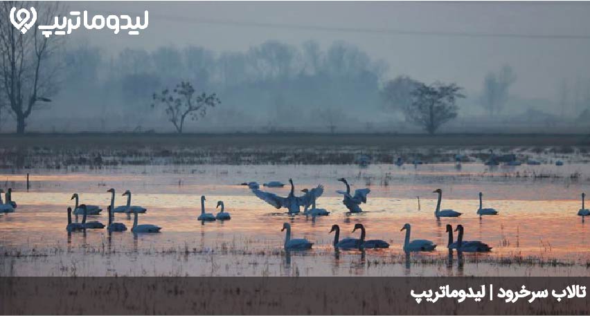 تالاب سرخرود