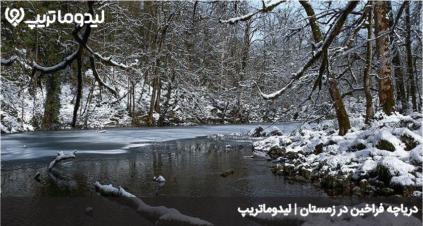 فراخین