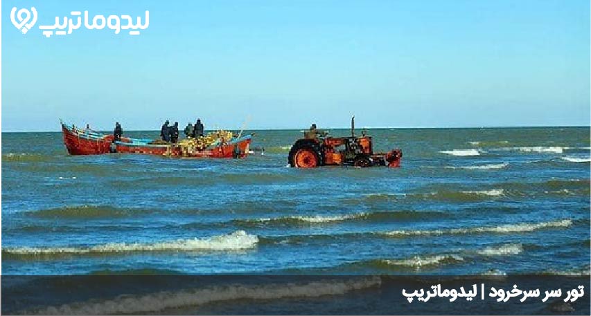 تور سر