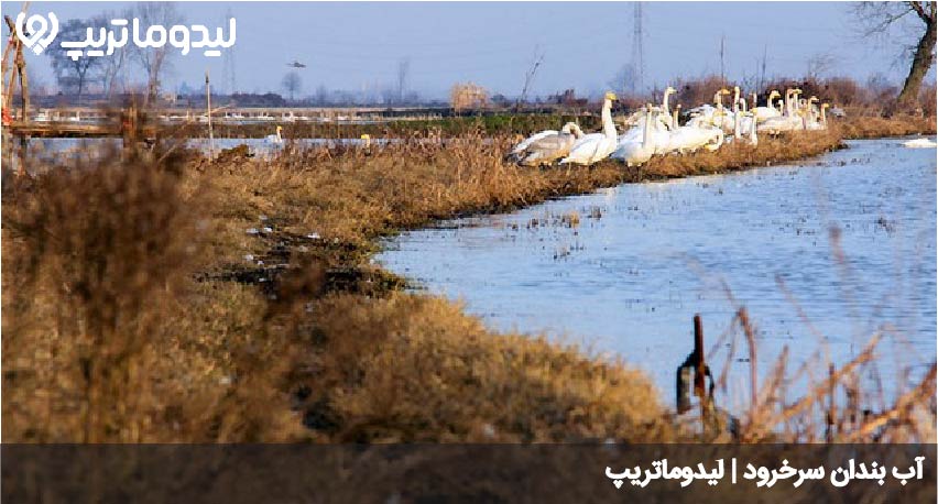 آب بندان سرخرود