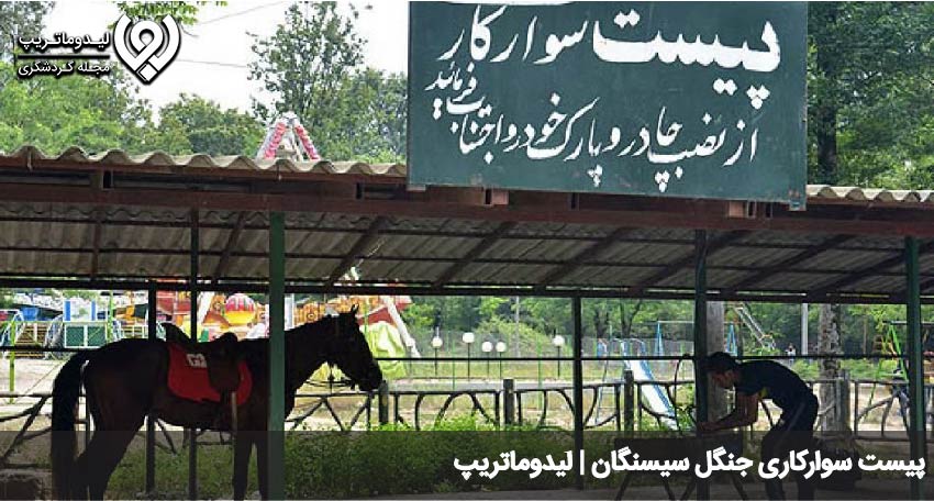 اسب سواری در سیسنگان