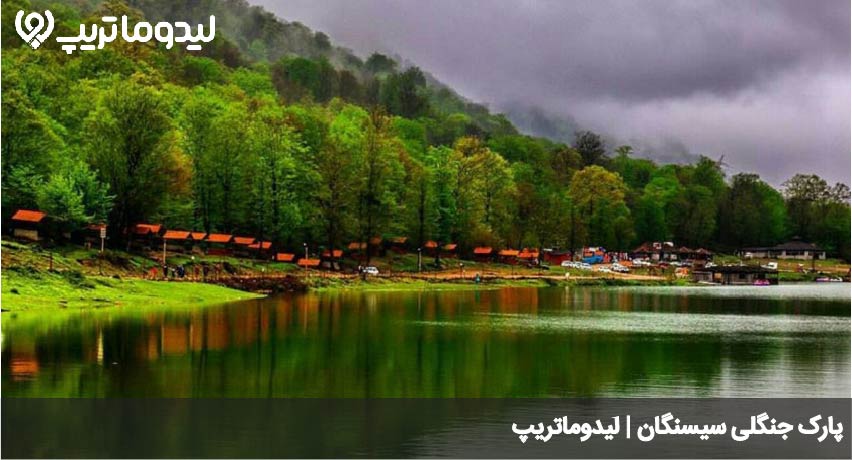 جنگل سیسنگان