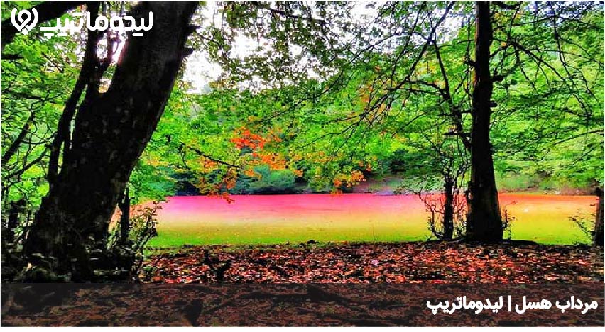 مرداب هسل