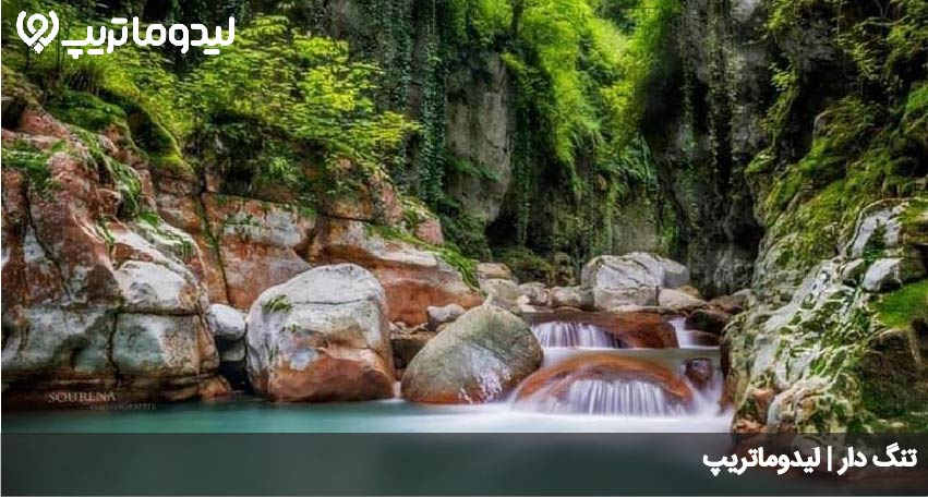 تنگ دار