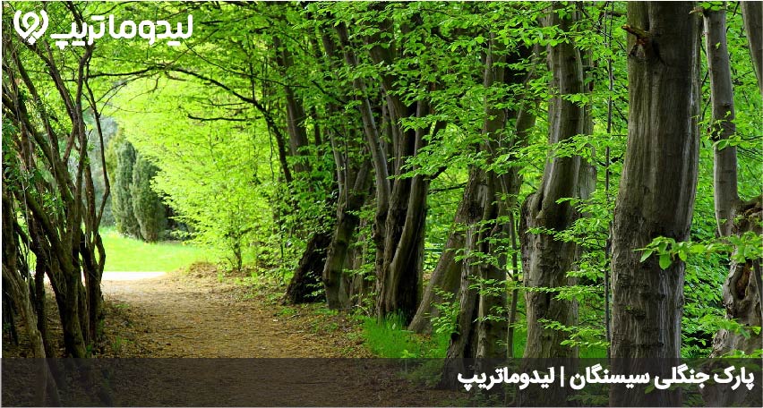 پارک جنگلی سیسنگان