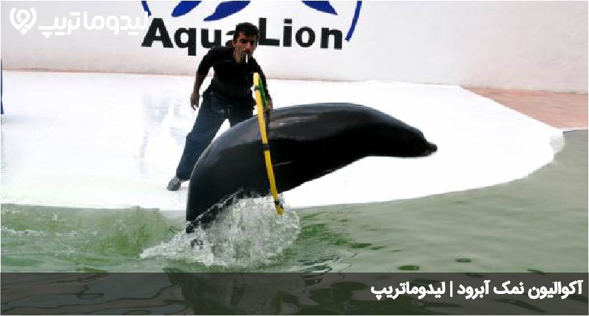 اکوالیون