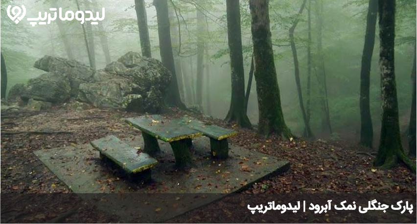 پارک جنگلی نمک آبرود
