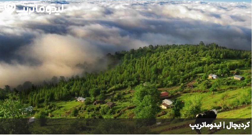 کردیچال