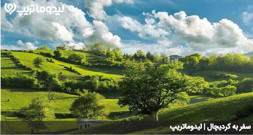 کردیچال