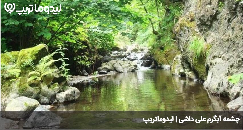 علی داشی