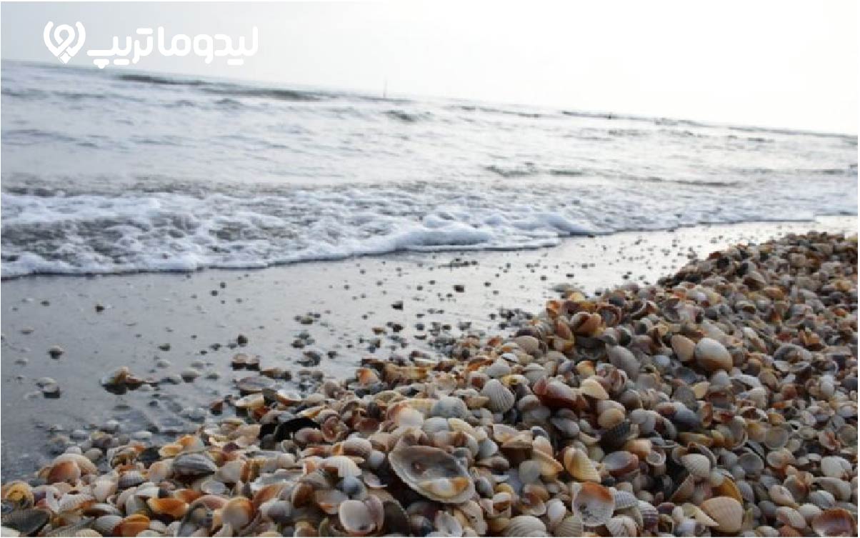 ساحل صدف آستارا، زیباترین ساحل شمالی