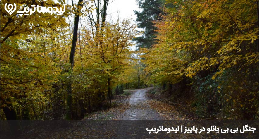 بی بی یانلو